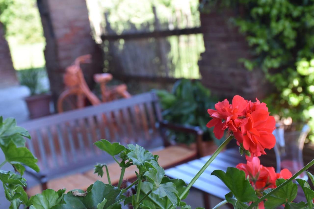 Lequio Tanaro La Casa Di Enzo Bed & Breakfast エクステリア 写真